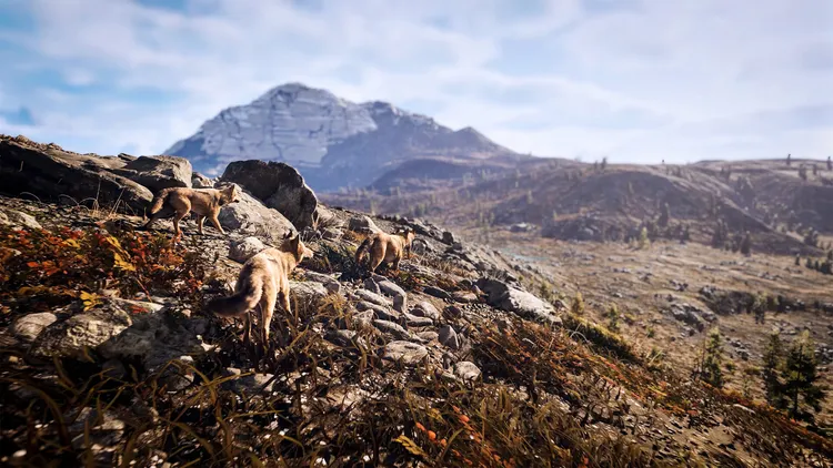 Скриншот Hunting Simulator 3 — 3