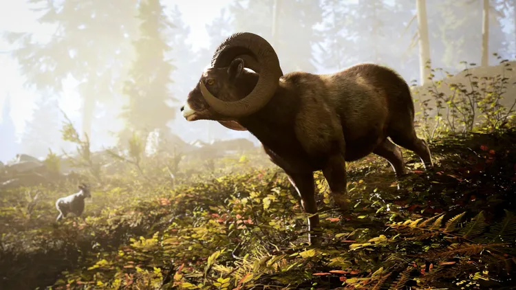 Скриншот Hunting Simulator 3 — 8