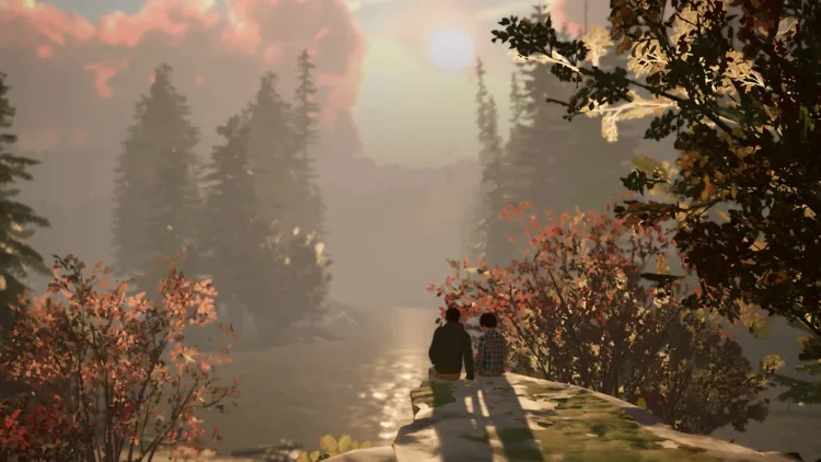 Скриншот Life is Strange 2 (Nintendo Switch) — 2