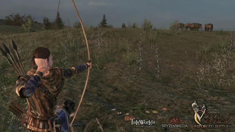 Скриншот Mount & Blade: Warband - Viking Conquest Reforged Edition DLC — 7