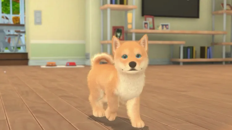 Скриншот My Universe - Puppies & Kittens — 1