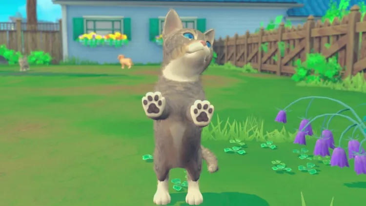 Скриншот My Universe - Puppies & Kittens — 3