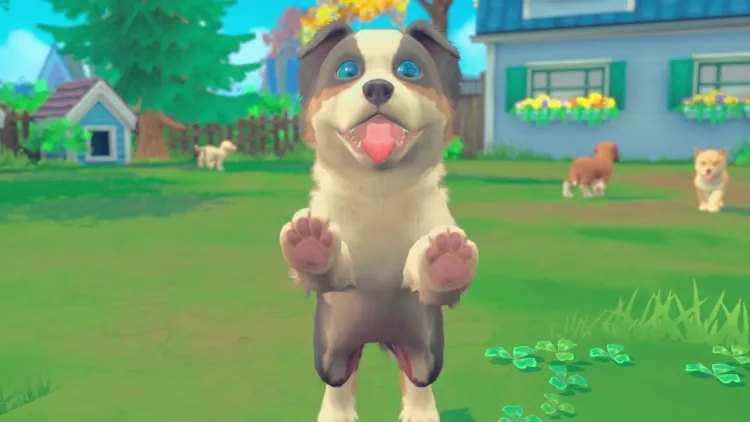 Скриншот My Universe - Puppies & Kittens — 5