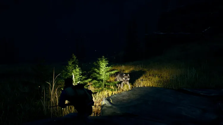 Скриншот Open Country — 3