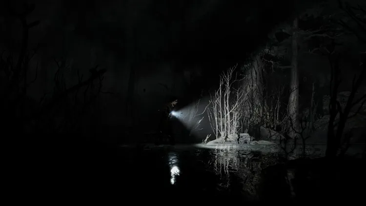 Скриншот Silver Pines — 3