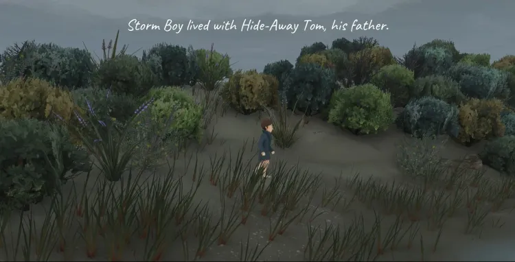 Скриншот Storm Boy — 2