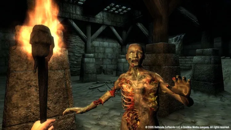 Скриншот The Elder Scrolls IV: Oblivion - GOTY Deluxe — 6
