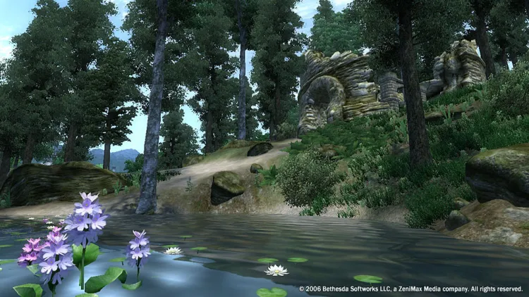 Скриншот The Elder Scrolls IV: Oblivion - GOTY — 2