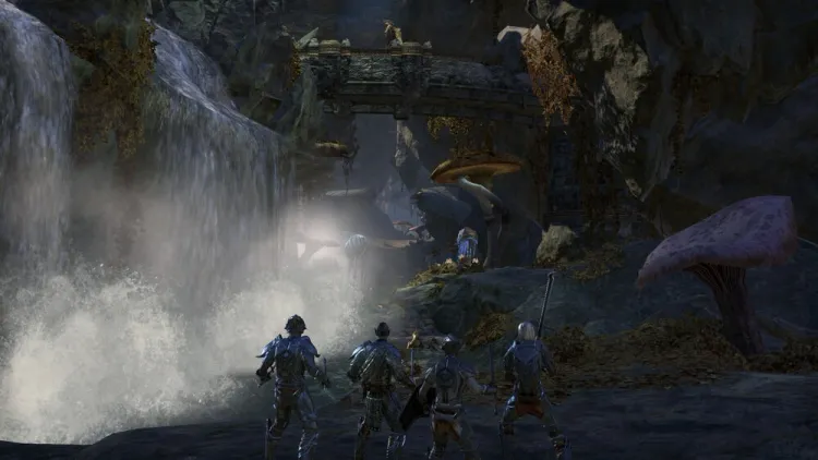 Скриншот The Elder Scrolls Online: Standard Edition — 4