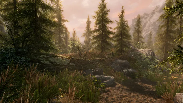 Скриншот The Elder Scrolls V: Skyrim Special Edition — 2