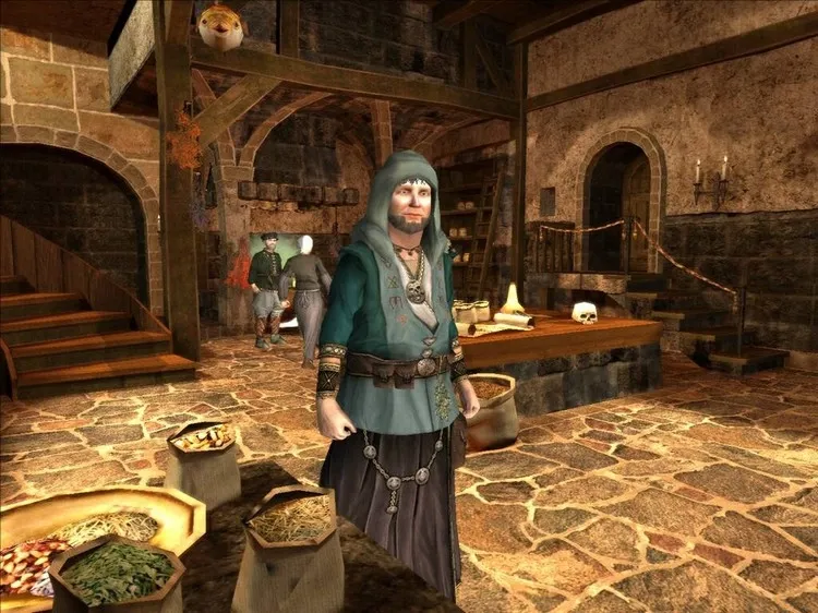 Скриншот The Guild II — 8