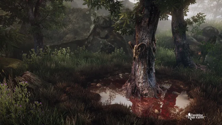 Скриншот The Vanishing of Ethan Carter — 3