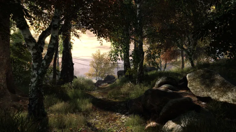 Скриншот The Vanishing of Ethan Carter — 7