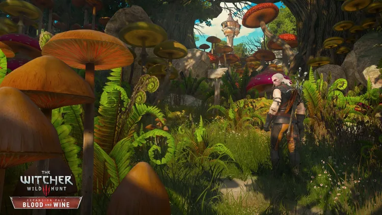 Скриншот The Witcher 3: Wild Hunt - Game of the Year Edition (GOG) — 2