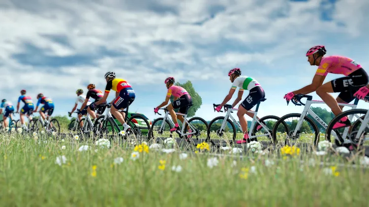 Скриншот Tour de France 2024 — 6