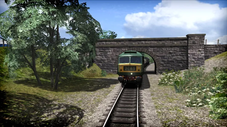 Скриншот Train Simulator: WSR Diesels Loco Add-On DLC — 5