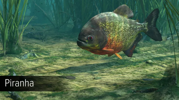 Скриншот Ultimate Fishing Simulator - Amazon River DLC — 1