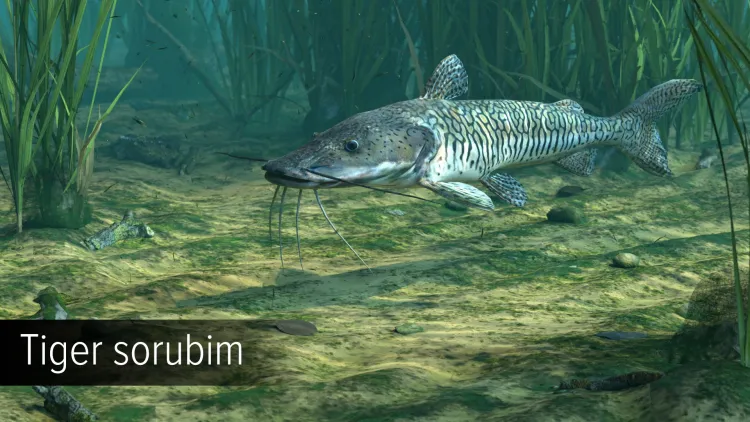 Скриншот Ultimate Fishing Simulator - Amazon River DLC — 4