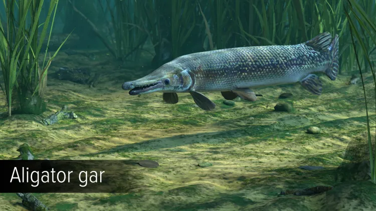 Скриншот Ultimate Fishing Simulator - Amazon River DLC — 5
