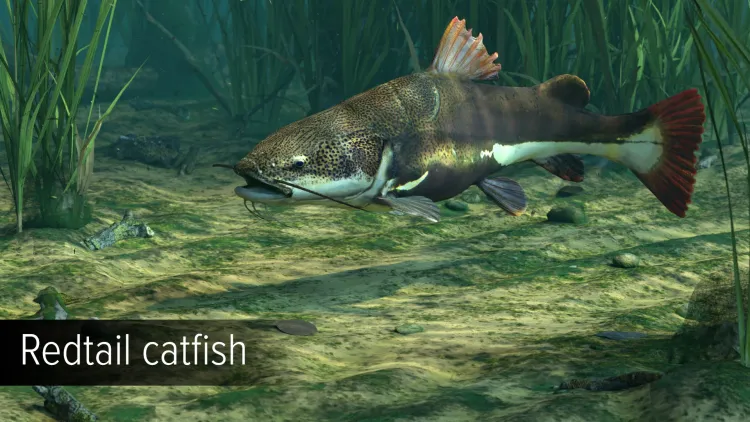 Скриншот Ultimate Fishing Simulator - Amazon River DLC — 9