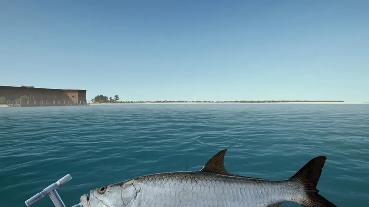 Скриншот Ultimate Fishing Simulator - Florida — 1