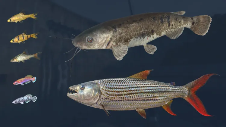 Скриншот Ultimate Fishing Simulator - Kariba Dam — 8