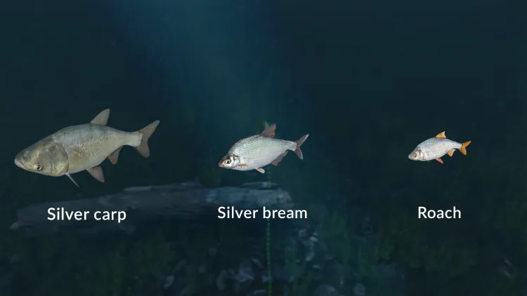 Скриншот Ultimate Fishing Simulator - New Fish Species DLC — 2