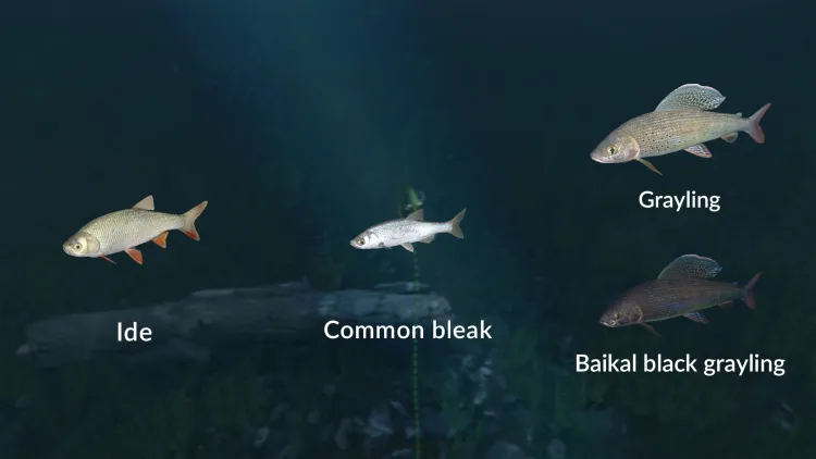 Скриншот Ultimate Fishing Simulator - New Fish Species DLC — 3