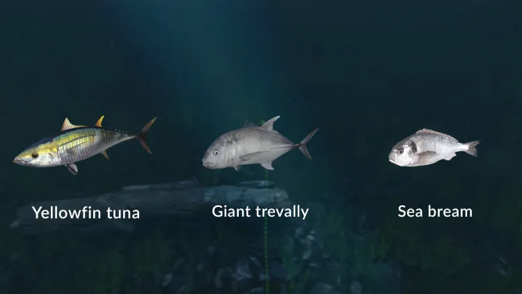 Скриншот Ultimate Fishing Simulator - New Fish Species DLC — 5
