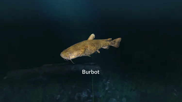 Скриншот Ultimate Fishing Simulator - New Fish Species DLC — 6
