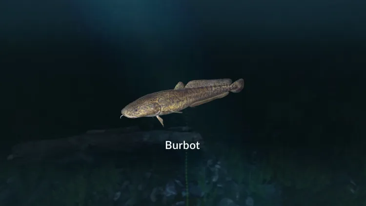 Скриншот Ultimate Fishing Simulator - New Fish Species DLC — 7