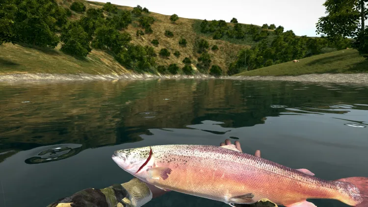 Скриншот Ultimate Fishing Simulator — 2