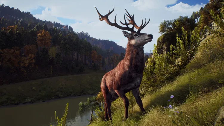 Скриншот Way of the Hunter Elite Edition — 9