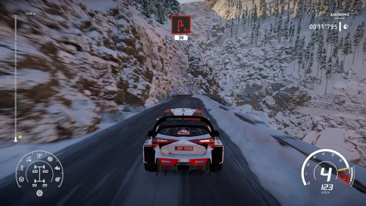 Скриншот WRC 8 FIA World Rally Championship — 7