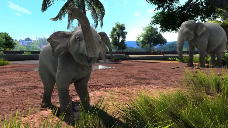 Скриншот Zoo Tycoon: Ultimate Animal Collection — 5
