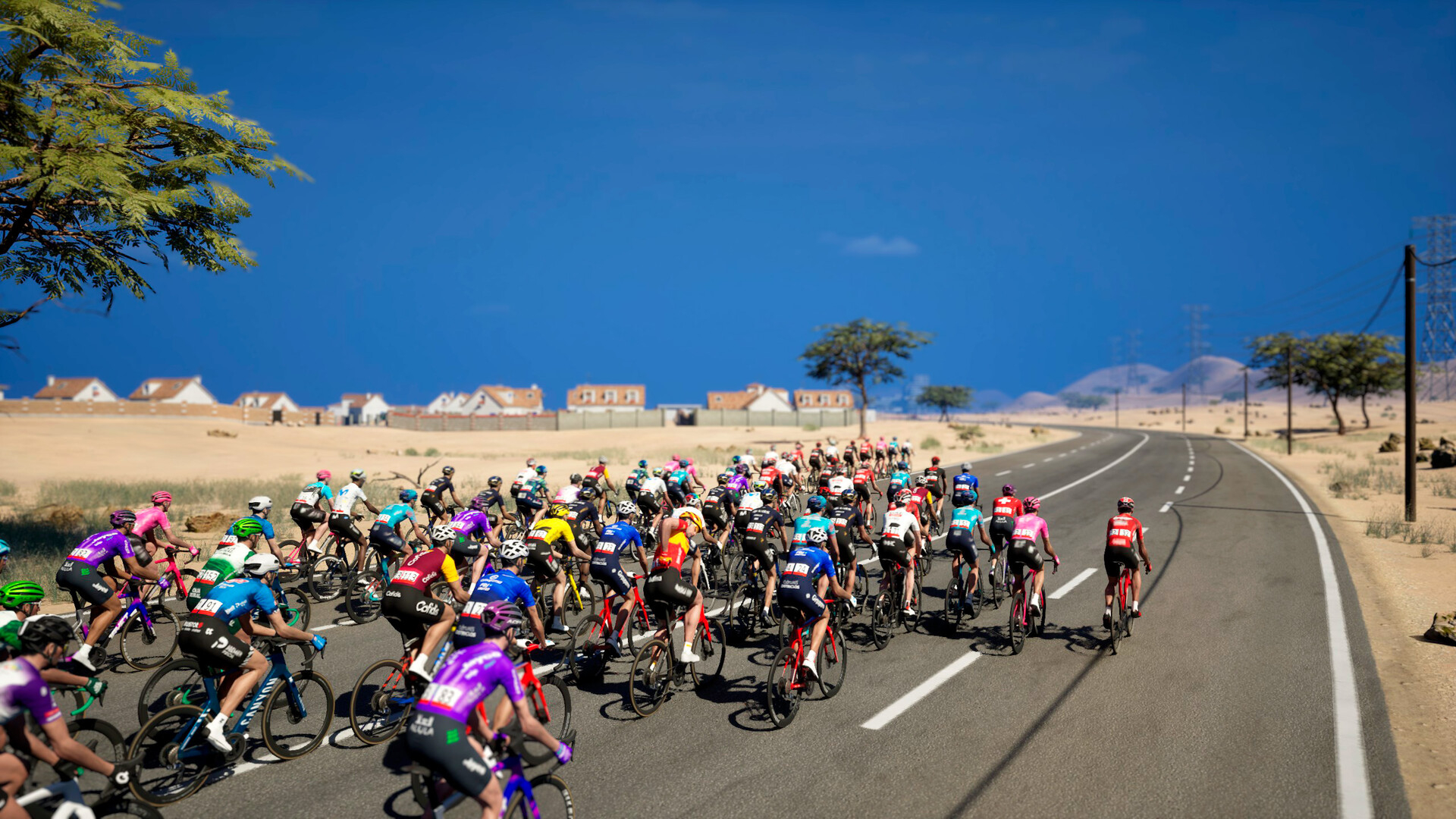https://img.e-store.pro/products/screenshots/tour_de_france_2026_screenshot2.webp