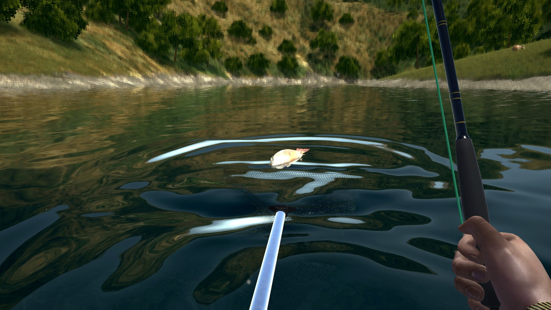 https://img.e-store.pro/products/screenshots/ultimate_fishing_simulator_gold_edition_screenshot2.webp