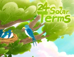 24 Solar Terms