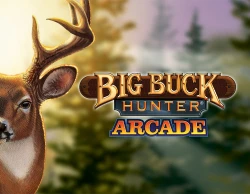 Big Buck Hunter Arcade