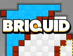 Briquid