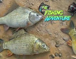 Fishing Adventure