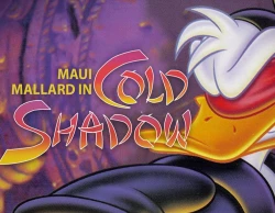 Maui Mallard in Cold Shadow