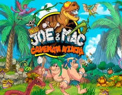 New Joe & Mac - Caveman Ninja