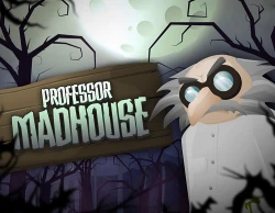 Professor Madhouse