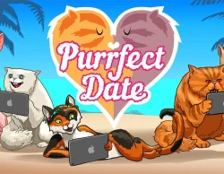 Purrfect Date