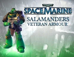 Warhammer 40,000 : Space Marine - Salamanders Veteran Armour Set DLC