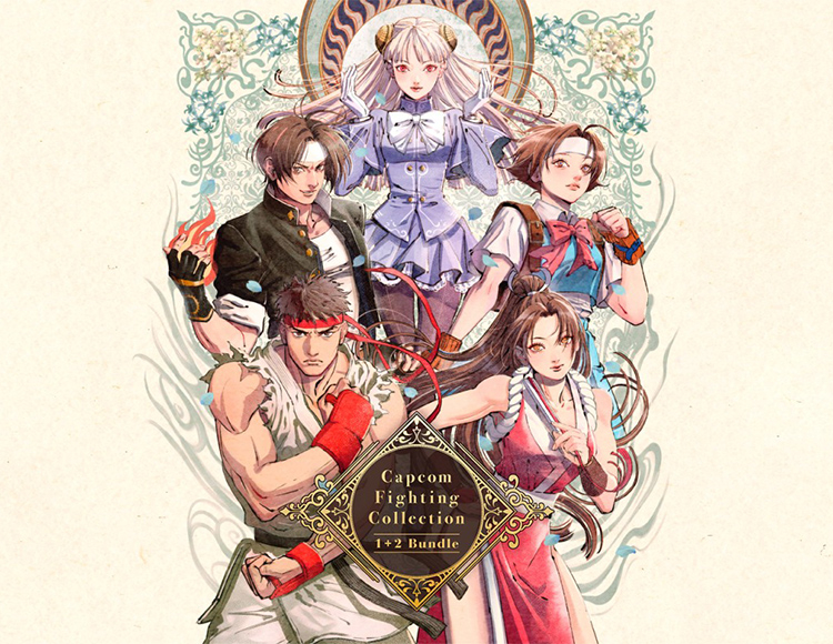 Capcom Fighting Collection 1 + 2 Bundle