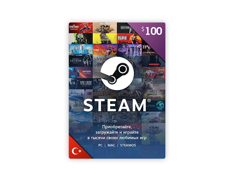 Карта оплаты Steam 100 USD Turkey [Цифровая версия]